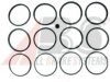 LDV AEU2539 Repair Kit, brake caliper